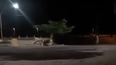 Un sanjuanino grabó gritos escalofriantes en el autódromo El Zonda y el video se volvió viral en TikTok Un sanjuanino grabó gritos escalofriantes en el autódromo El Zonda y el video se volvió viral en TikTok