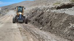 Bajada de creciente y caída de árboles, lo que dejaron las fuertes lluvias en Iglesia