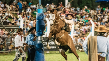 Ya están a la venta las entradas para la Fiesta de la Doma y el Folklore en Rawson.