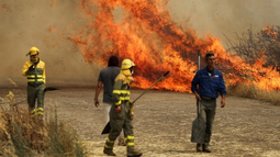 Chile combate 39 focos de incendios forestales de gran magnitud