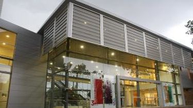 El Museo de Bellas Artes participará de un encuentro internacional
