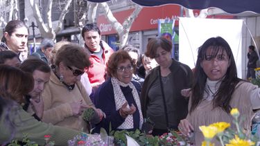 Capital regaló plantas y árboles en la peatonal