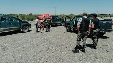 Ambiente labró más de 30 actas por transporte ilegal de aves