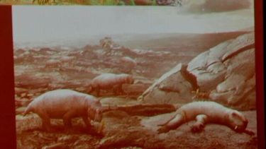 Encontraron una especie animal más antigua que los dinosaurios