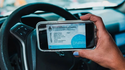 Sin cédula azul, el paso a paso para habilitar a terceros a manejar y evitar problemas en los controles