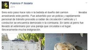 Enojo en las redes sociales por otro caso de maltrato animal
