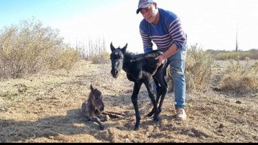 (Imágenes gentileza SW Diario)&nbsp;