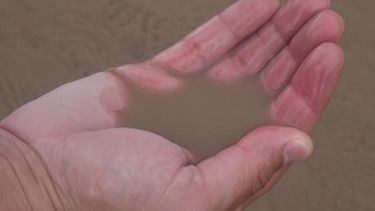 Bajó el grado de turbiedad y de a poco se normalizará el servicio de agua potable