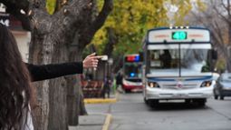 Los cambios que se vienen en las paradas y en los recorridos de los colectivos