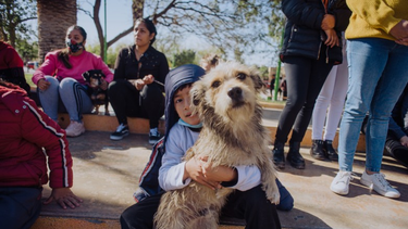 Con la compra de 23.200 kilos de alimentos para perros y gatos, sigue el Programa de Tenencia Responsable en San Juan