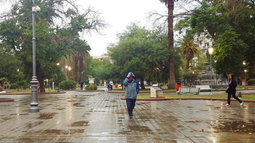 Ramas caídas, choques y peatones heridos, el saldo de la lluvia en San Juan Ramas caídas, choques y peatones heridos, el saldo de la lluvia en San Juan