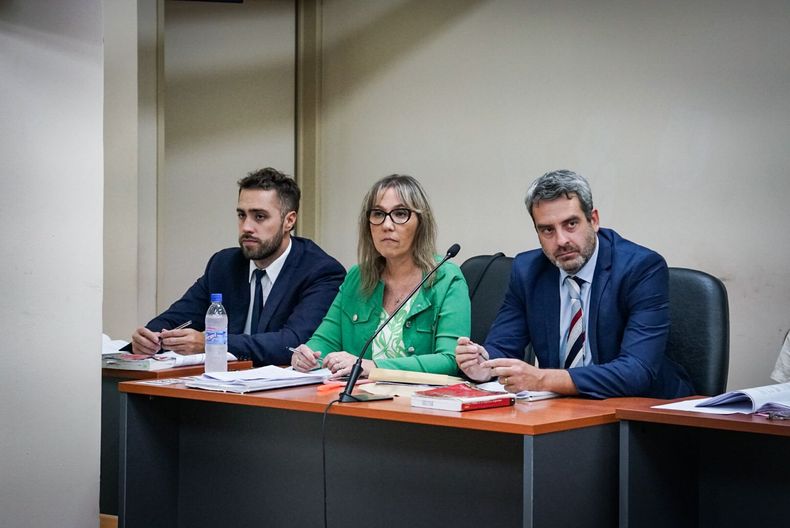 Los defensores oficiales de Mario Matic.