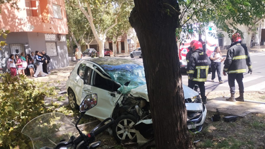 en el centro sanjuanino, un auto choco con un colectivo y termino impactando contra un arbol en el centro sanjuanino, un auto choco con un colectivo y termino impactando contra un arbol