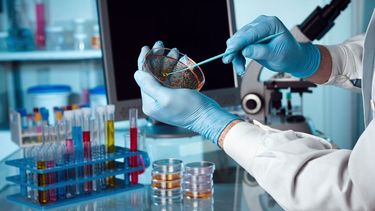 Diez mitos falsos sobre el cáncer