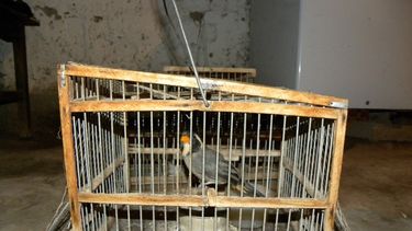 Récord de caza furtiva durante Semana Santa en San Juan