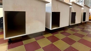 Una mueblería y una veterinaria se unieron a una ONG de San Juan para abrigar perritos callejeros en pleno invierno