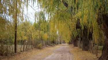 El otoño arranca en San Juan con máxima de 27°