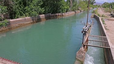 El canal Benavídez ya tiene meme por coronavirus