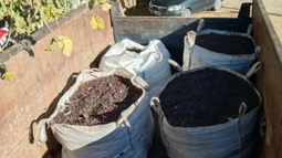 Imagen ilustrativa Imagen ilustrativa