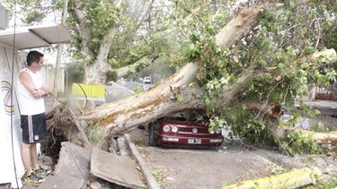 Entró al gimnasio, y al minuto un árbol le aplastó el auto