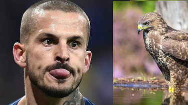 Por culpa de Benedetto la ligó hasta el gavilán de Jáchal: el audio viral de una sanjuanina