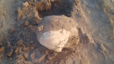 Envían a Mendoza el cráneo hallado en Ullum para saber si pertenece a Tellechea