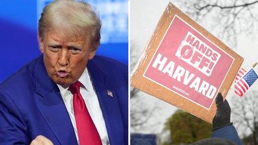 Donald Trump, a fondo contra Harvard: Le prohibió inscribir alumnos extranjeros