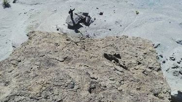 Si adivinás que donde fue tomada la imagen, te llevamos sushi el Día del Amigo