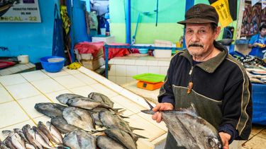 Estos son los mariscos y pescados que sólo vas a poder comer en Chile
