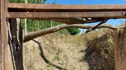 Cómo le hacen frente a la sequía los productores que viven donde llega el último hilito de agua
