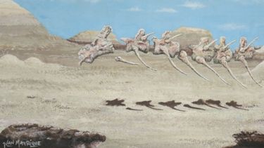 Por primera vez, el Parque Ischigualasto expone una muestra pictórica