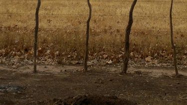 Continúa el alerta vigente por vientos intensos y nevadas