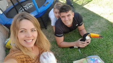 Saben dónde está el tucán Bartolo pero aprendió a volar y su rescate es dificilísimo