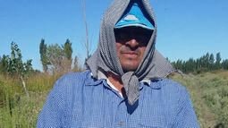 ¡Qué grandes!: mirá el tamaño de las primeras sandías de Sarmiento