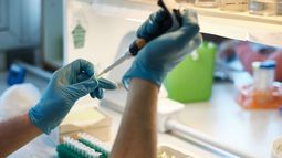 Sigue la flexibilización, pero darán marcha atrás si aparecen contagiados por la médica con COVID-19