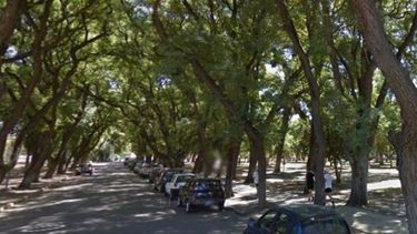 Si estacionas en el Parque, mañana buscate otro lugar