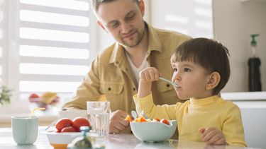 Una especialista sanjuanina explica las razones por las que una buena alimentación potencia el aprendizaje y la concentración