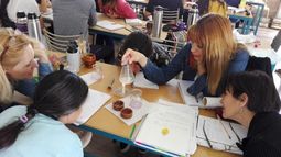 Se viene la primera escuela Waldorf para docentes en San Juan