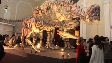 Mirá lo que podés hacer con los chicos en vacaciones este jueves