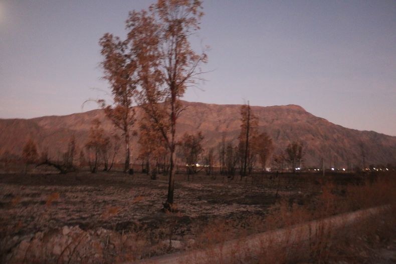Una de las zonas donde el fuego arras&oacute; con todo.&nbsp;