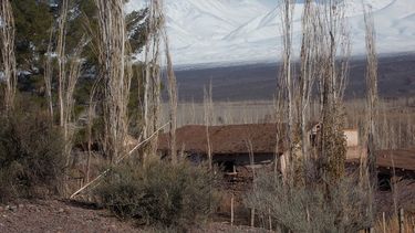 Nevada esperada: fue la mejor de los últimos 6 años