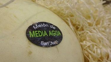 Por primera vez habrá degustaciones de melón de Media Agua
