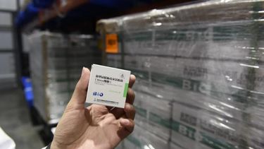 Llegan 7.200 vacunas a San Juan: ¿para quiénes están destinadas?