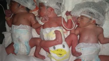 A once días de su nacimiento, los trillizos sanjuaninos aún continúan en el Hospital A once días de su nacimiento, los trillizos sanjuaninos aún continúan en el Hospital
