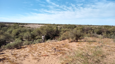 Cómo son los bosques con los que cuenta San Juan.