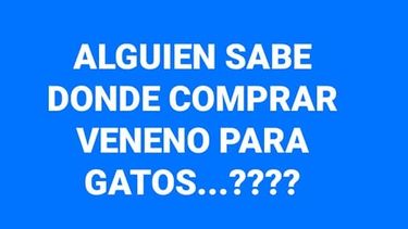 Indignación por un sanjuanino que busca comprar veneno para gatos