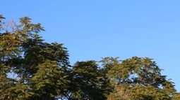 Sábado soleado para comenzar el fin de semana a pleno