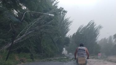 No te queremos asustar, pero... así dejó a Mendoza el viento que está llegando a San Juan