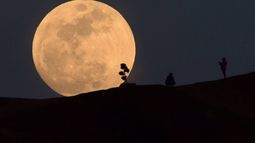 Superluna llena para este martes 19 de febrero: todo lo que tenés que saber