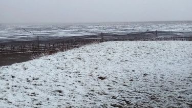 La nieve cubrió Pedernal y enamoró a los sarmientinos: mirá las fotos